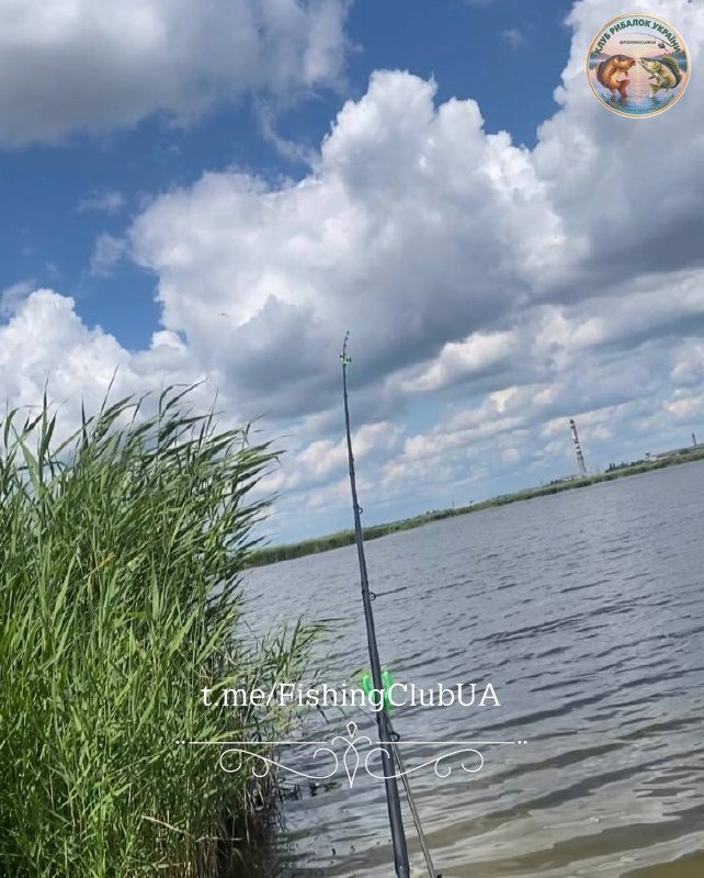 Карась, 2.5 кг — улов на Дніпро, Дніпропетровська обл., 12.07.2026