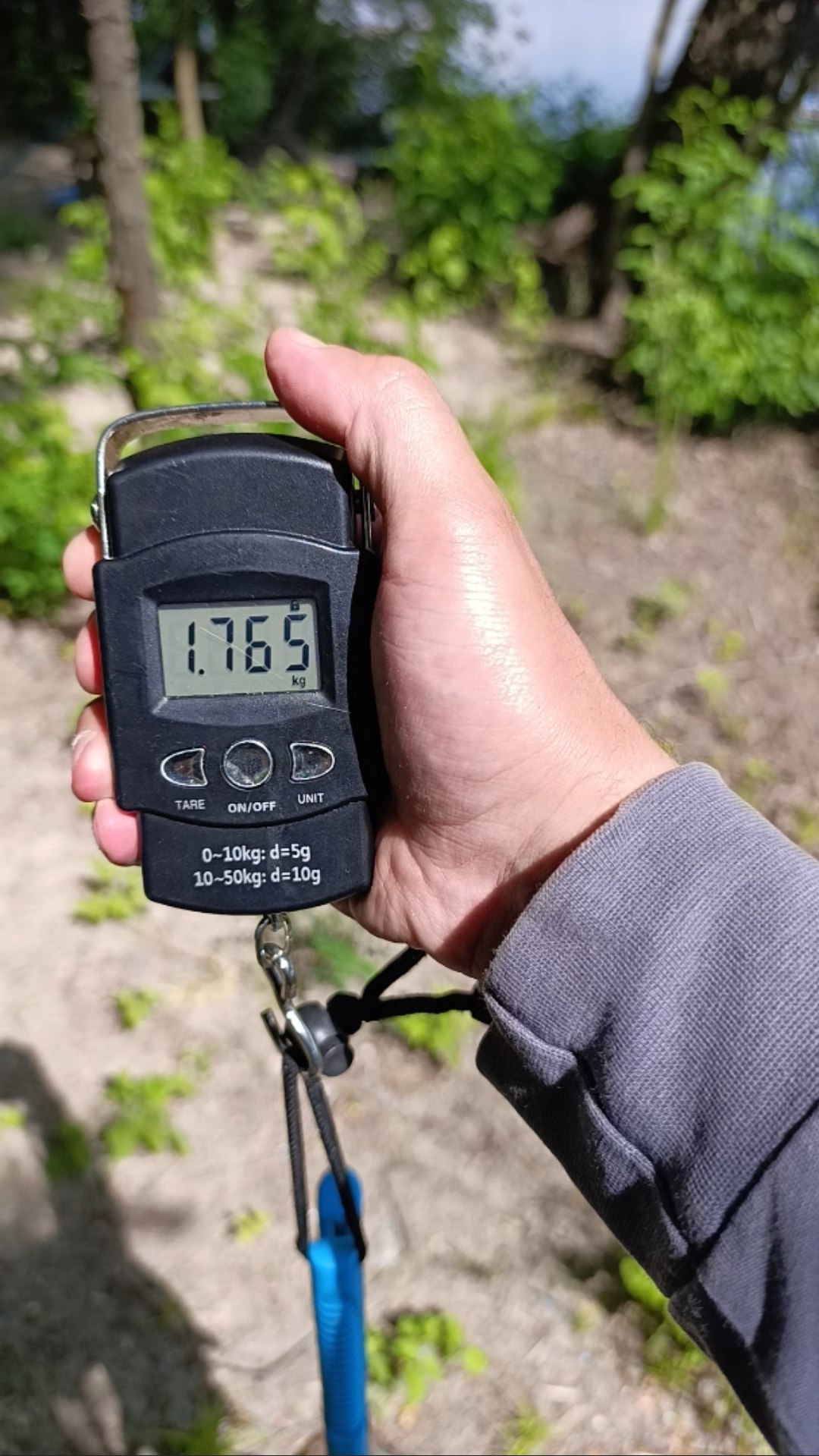 Жерех — улов на Дніпро, Запорізька обл., 07.06.2026