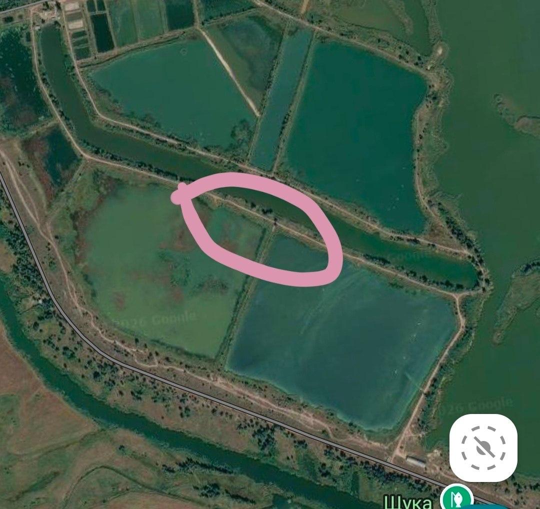 Сом, 29.8 кг — улов на Лозівок (ГЕС), Черкаська обл., 03.07.2026