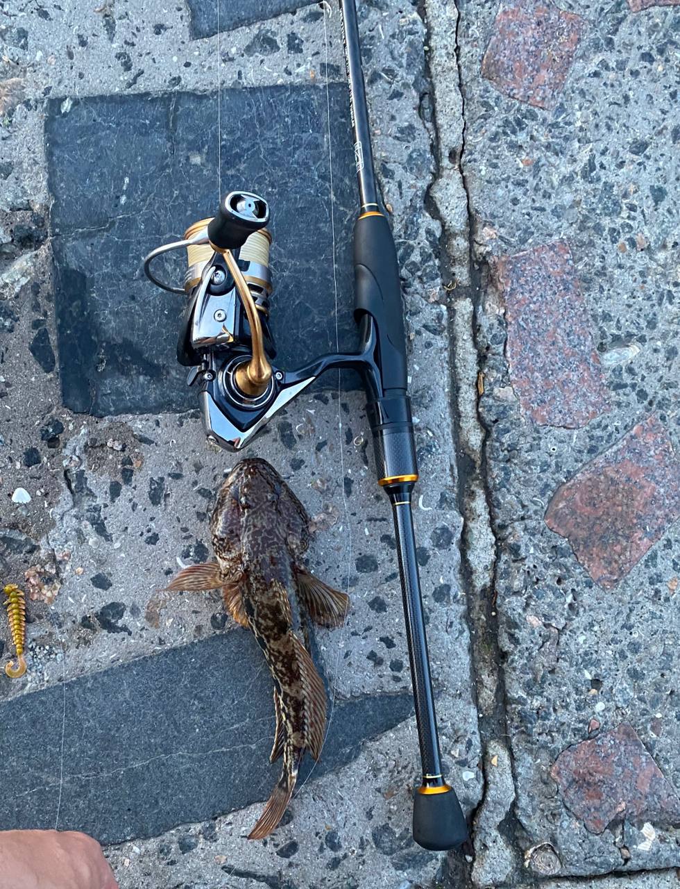 Бичок — улов на Новомиколаївський кар'єр, Дніпропетровська обл., 24.06.2026