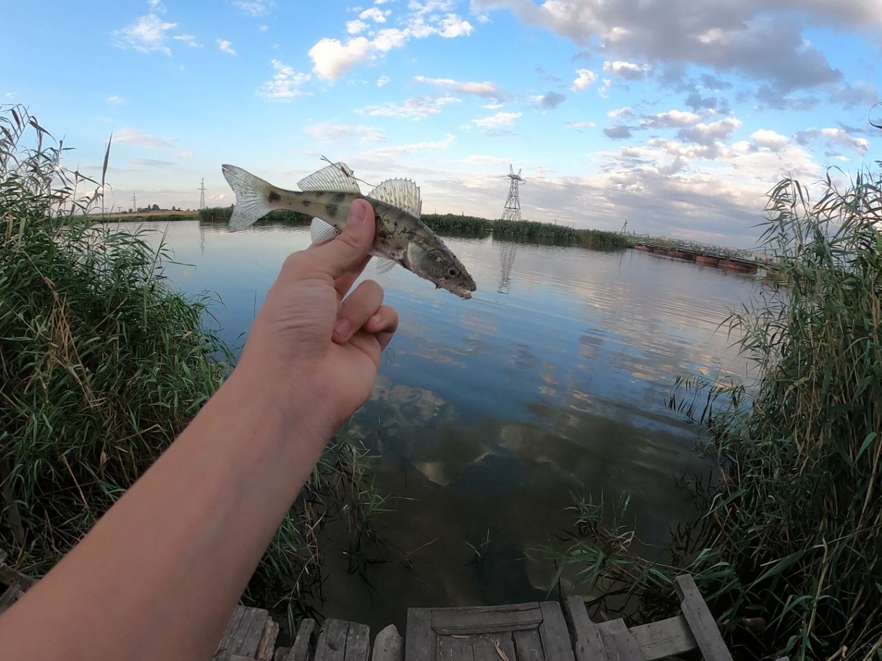 Улов — Аляудський міст
