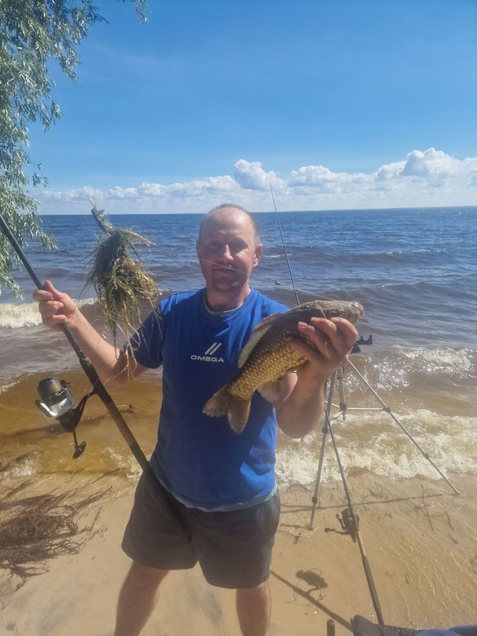 Сом — улов на Київське водосховище (Сухолуччя), Київська обл., 20.06.2026