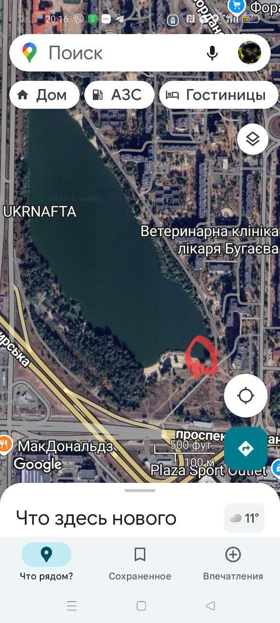 Плітка