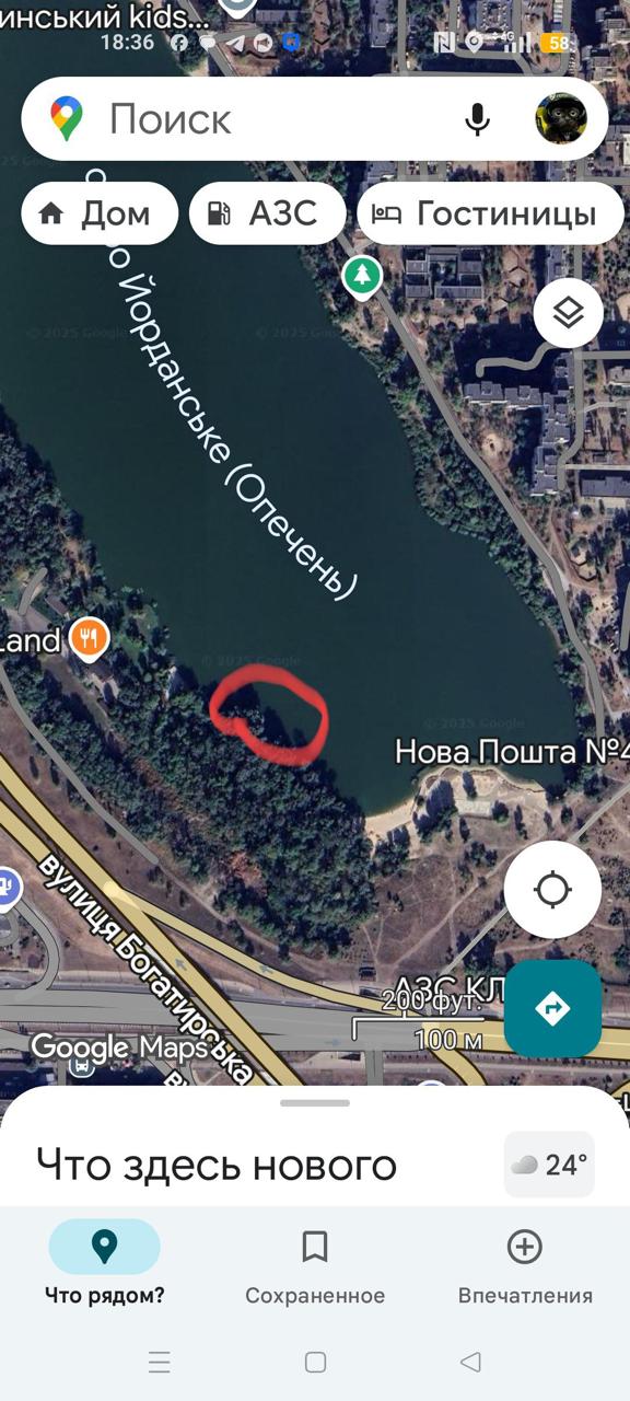 Густера