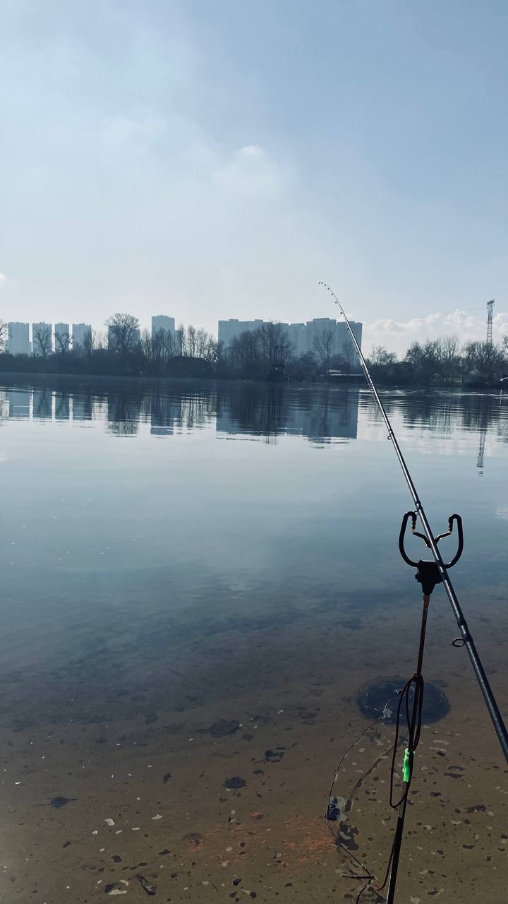 Плітка — фото 3