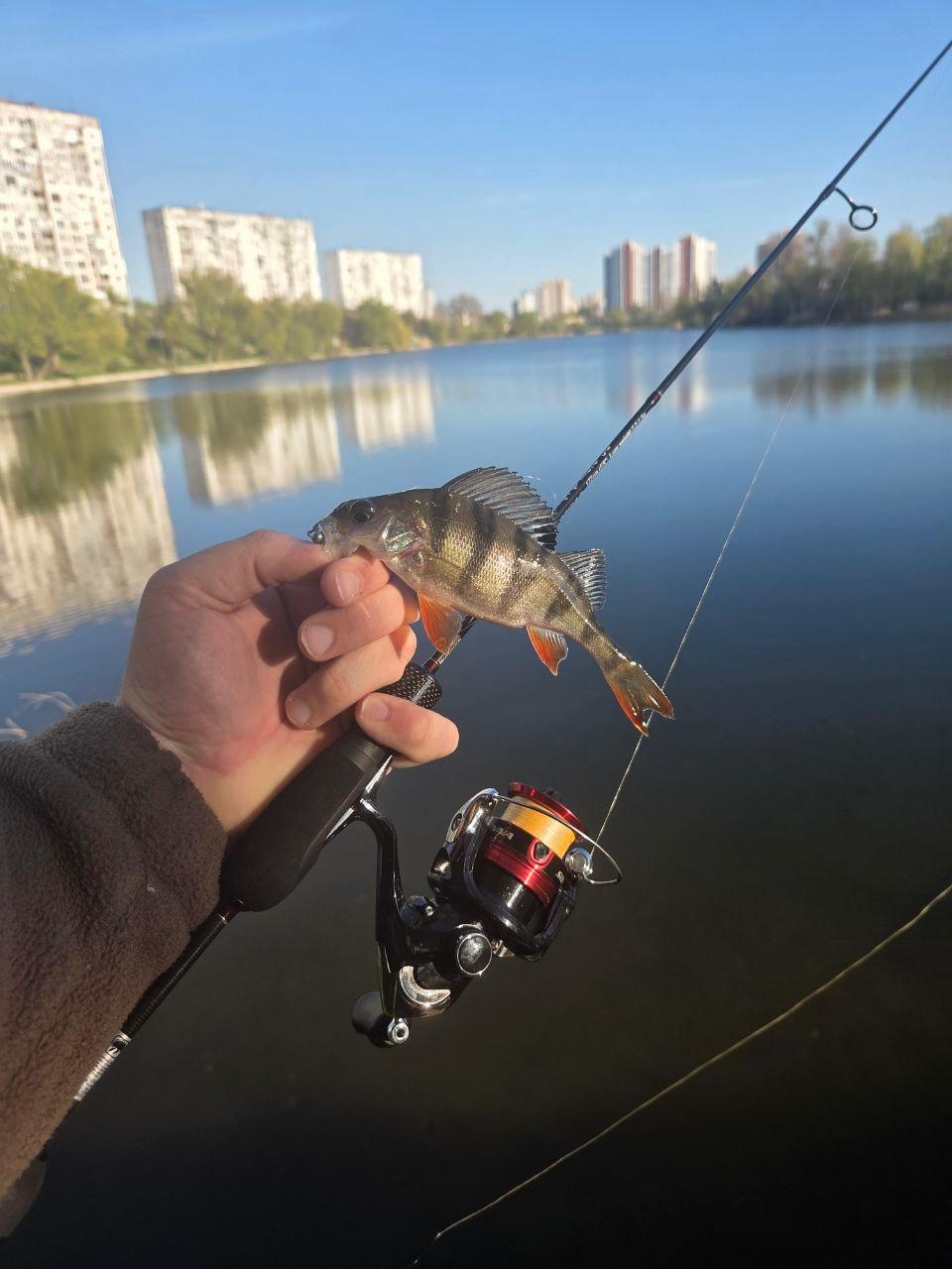 Окунь