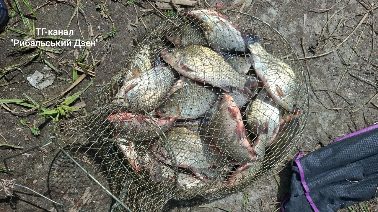 Карась — річка Гуйва