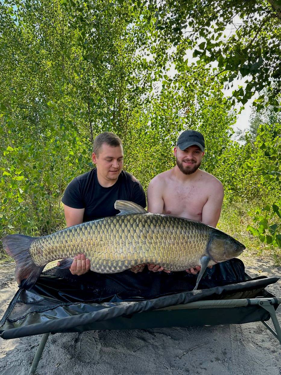 Улов, 31.44 кг — Дніпровське водосховище, Дніпропетровська обл., 09.08.2026