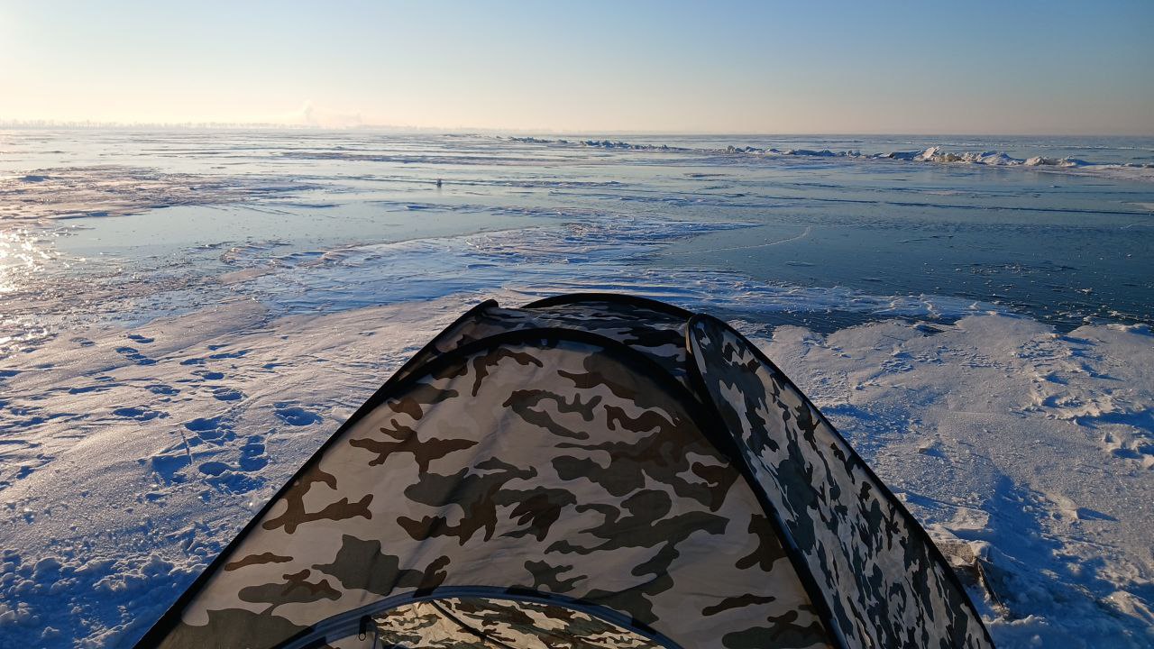 Улов — Кременчуцьке водосховище (річка Дніпро), Полтавська обл., 11.02.2026