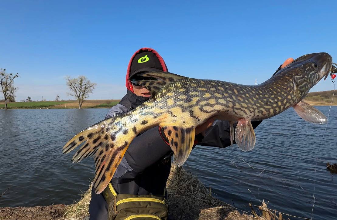 Щука — улов на Дідилів, Львівська обл., 03.04.2026