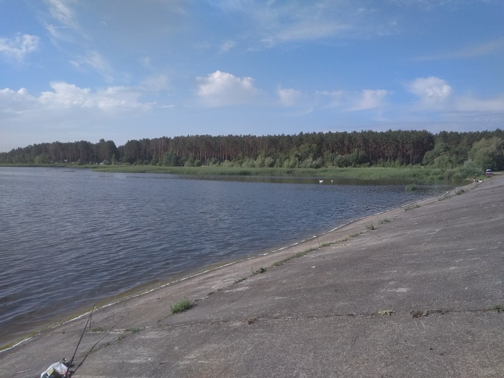 Карась