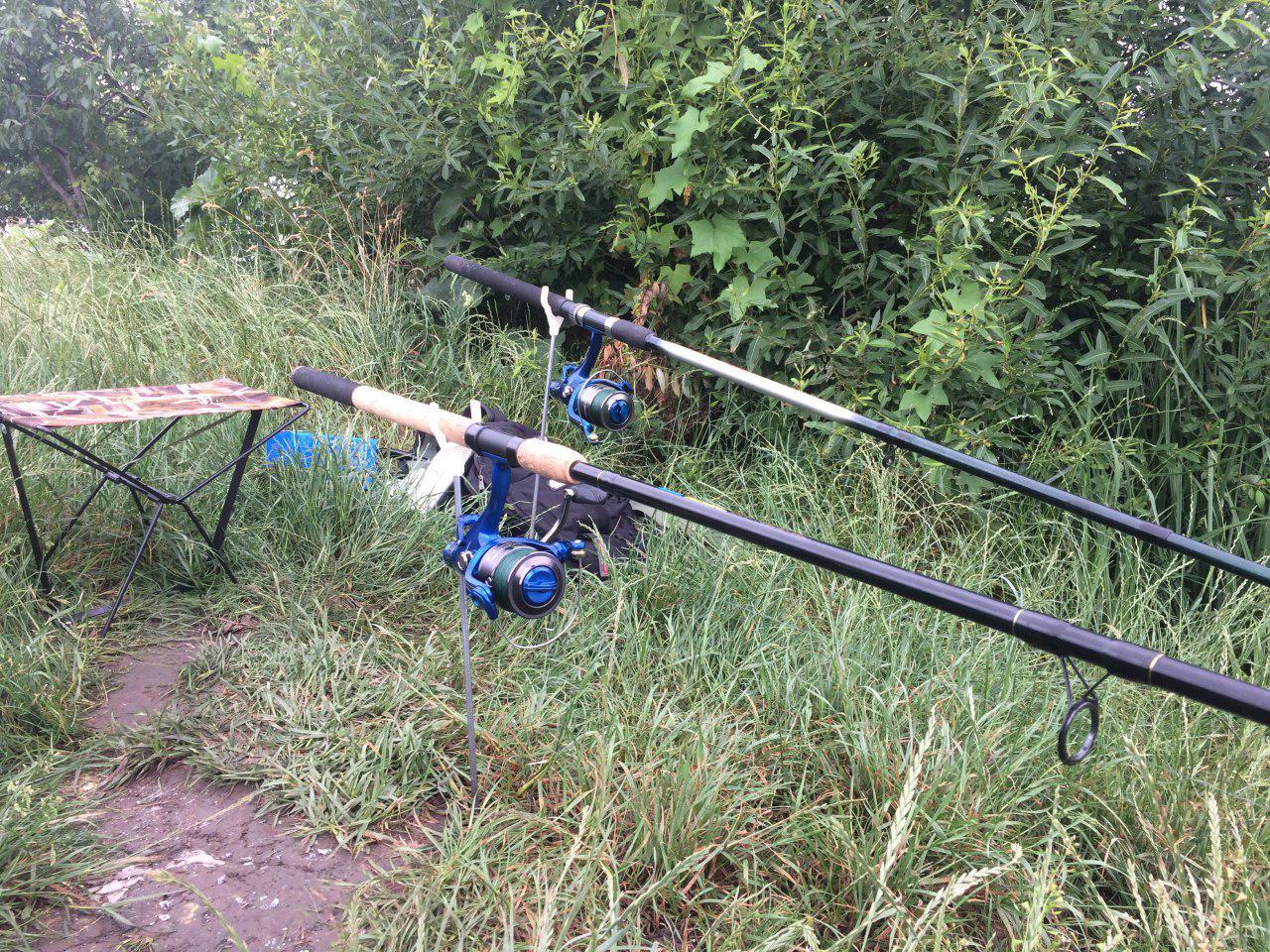 Плітка