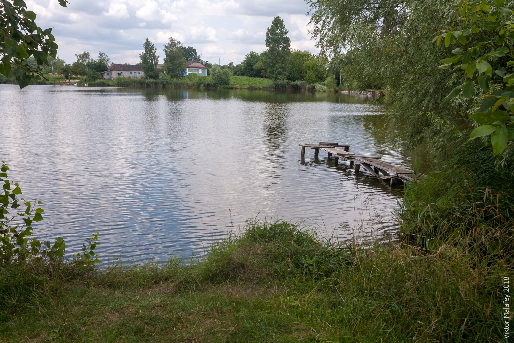 Краснопірка