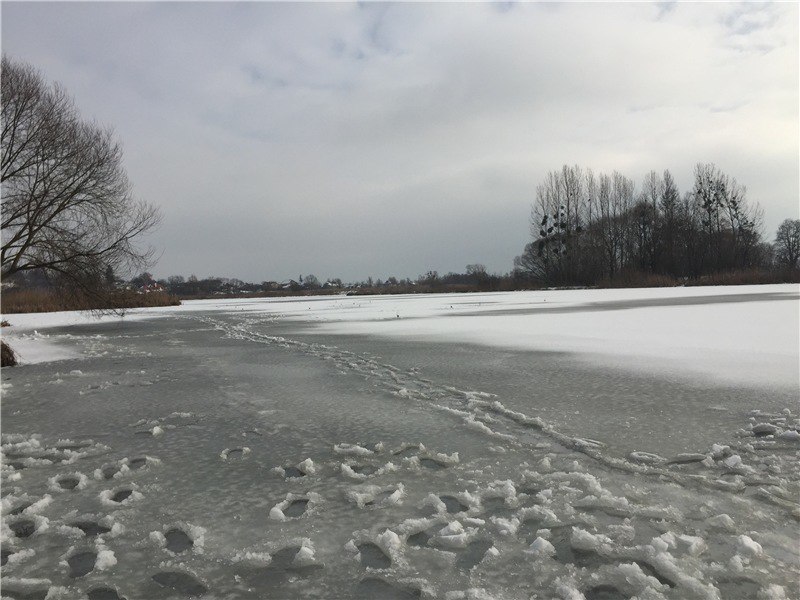 Окунь