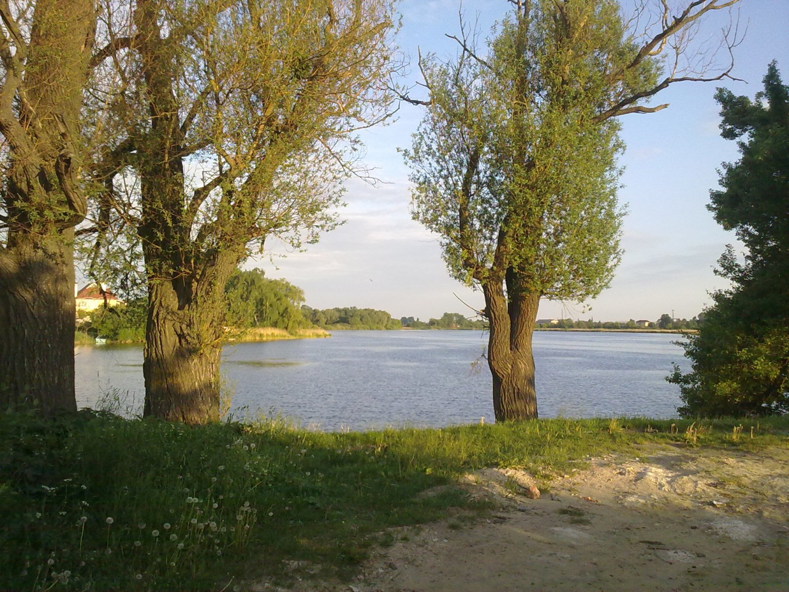 Карась