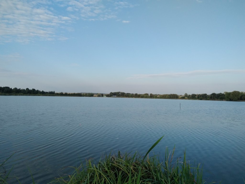 Карась
