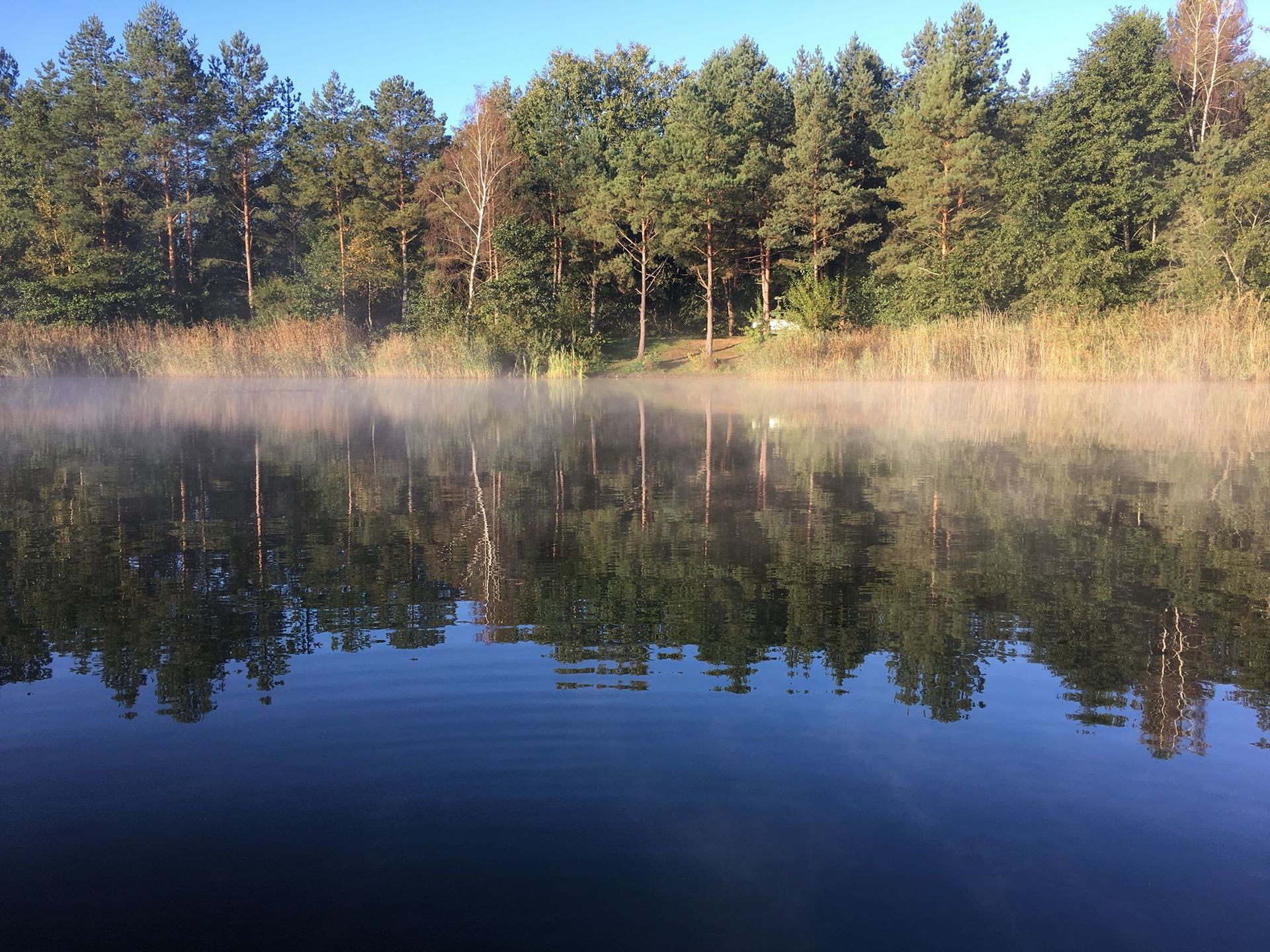 Окунь