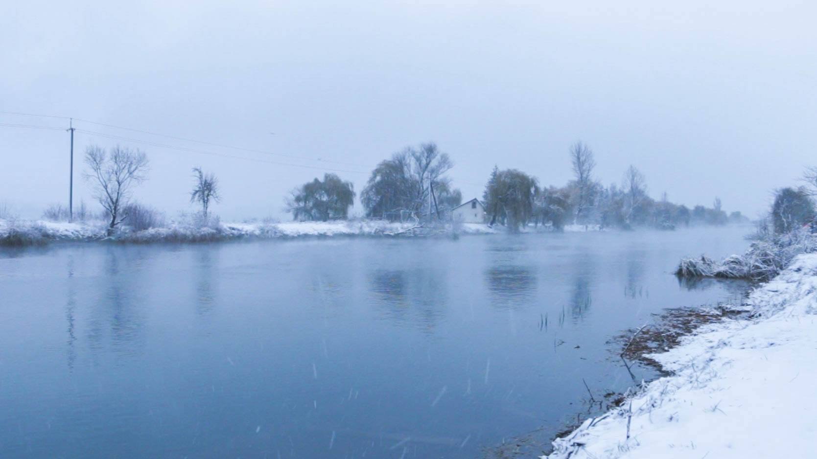 Плітка