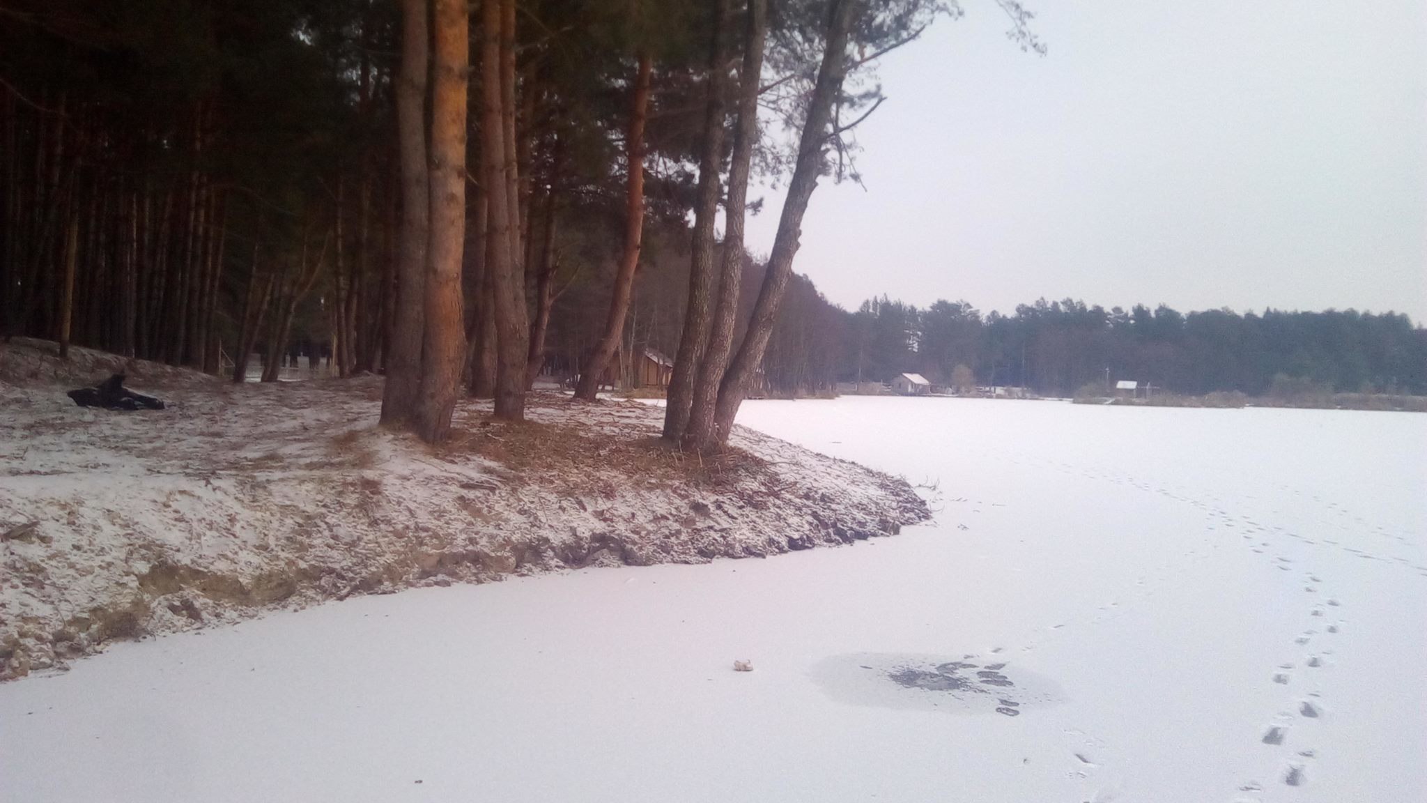 Окунь