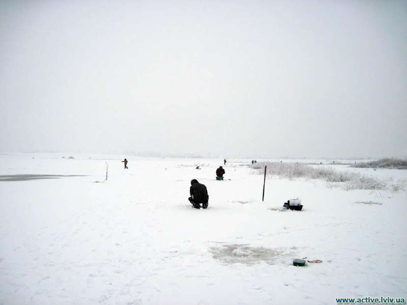 Окунь