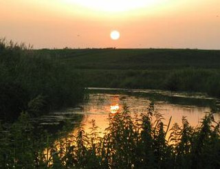 Карась