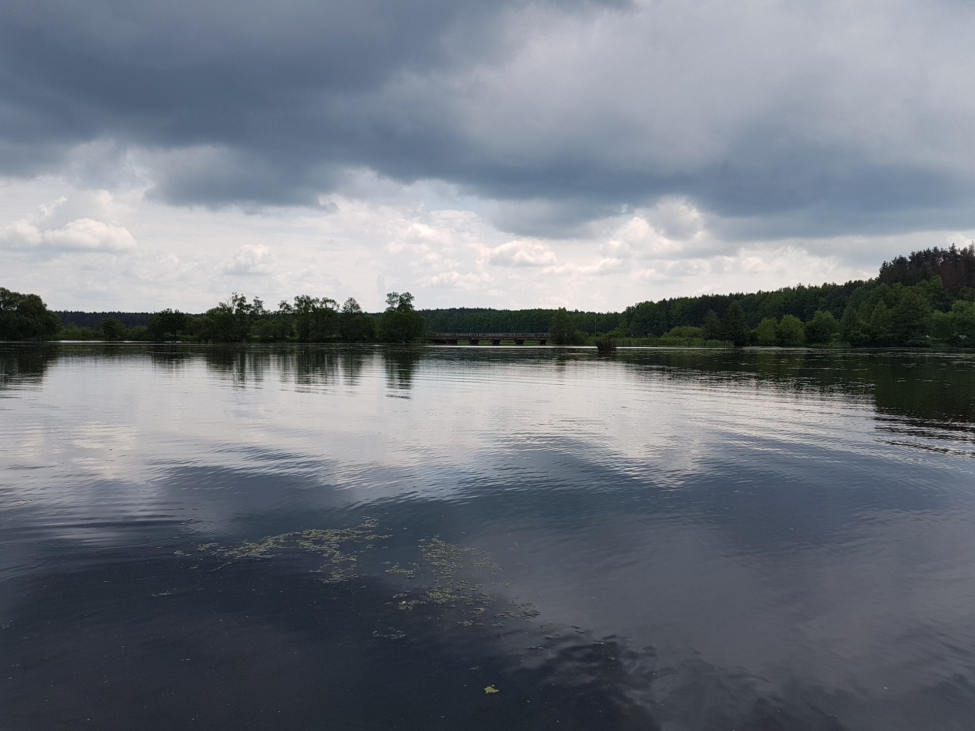 Окунь