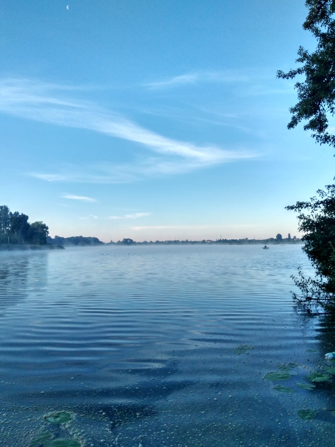 Карась