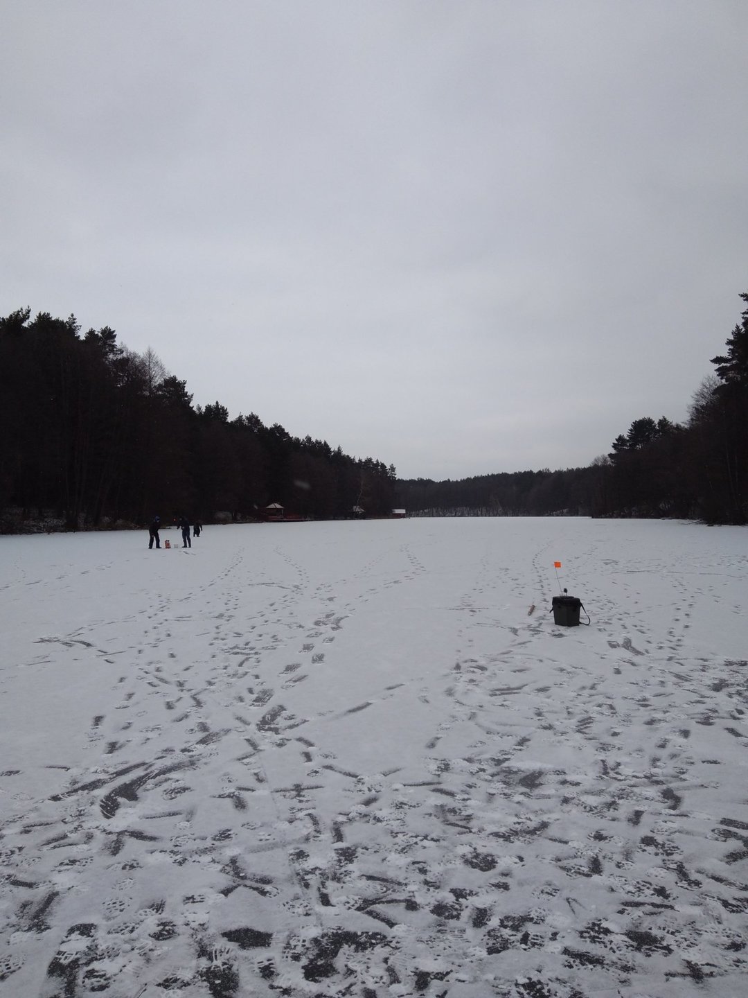 Окунь