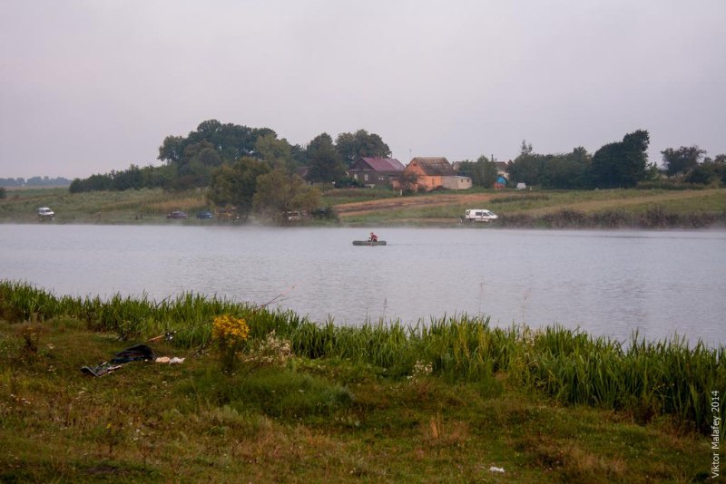 Краснопірка