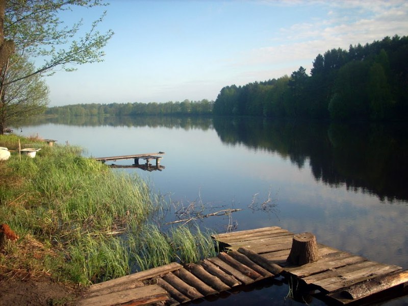 Короп