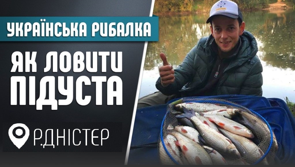 Рибець