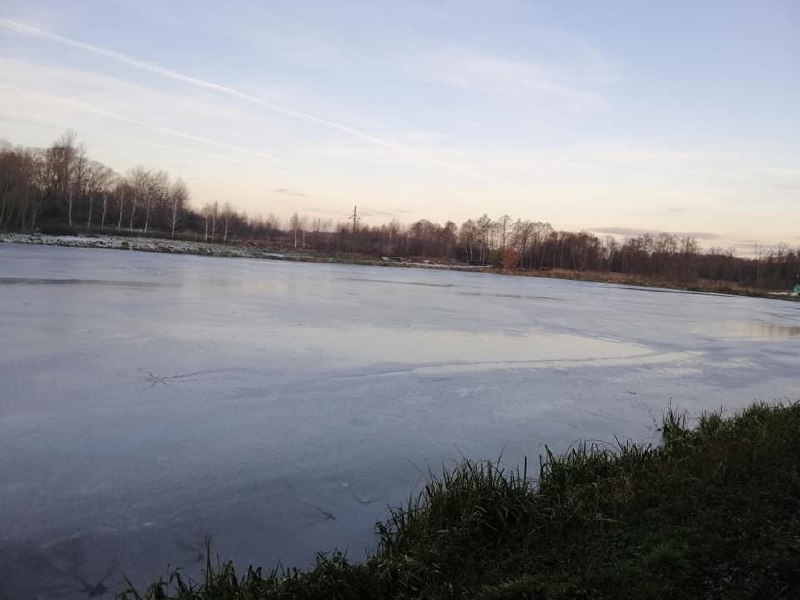 Окунь