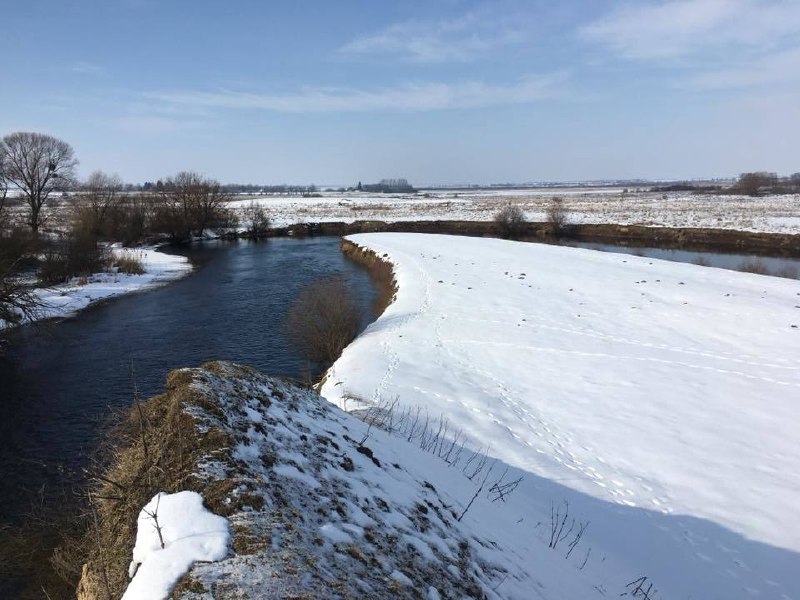 Окунь
