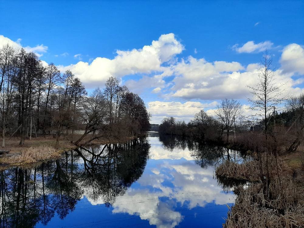 Карась