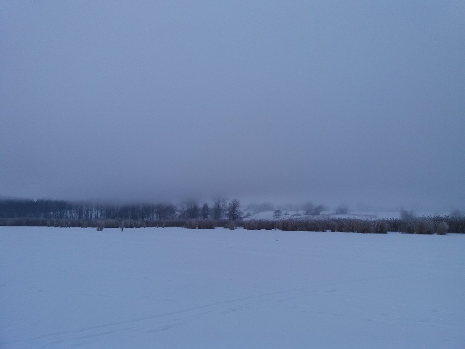 Щука