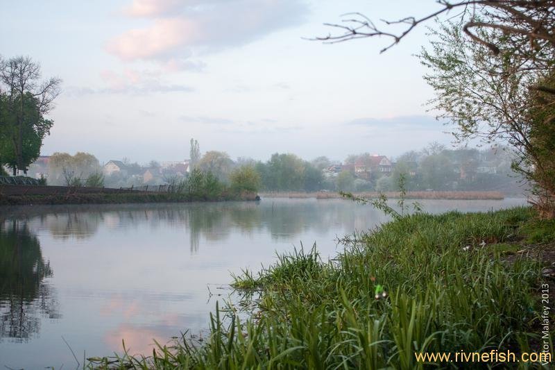 Карась