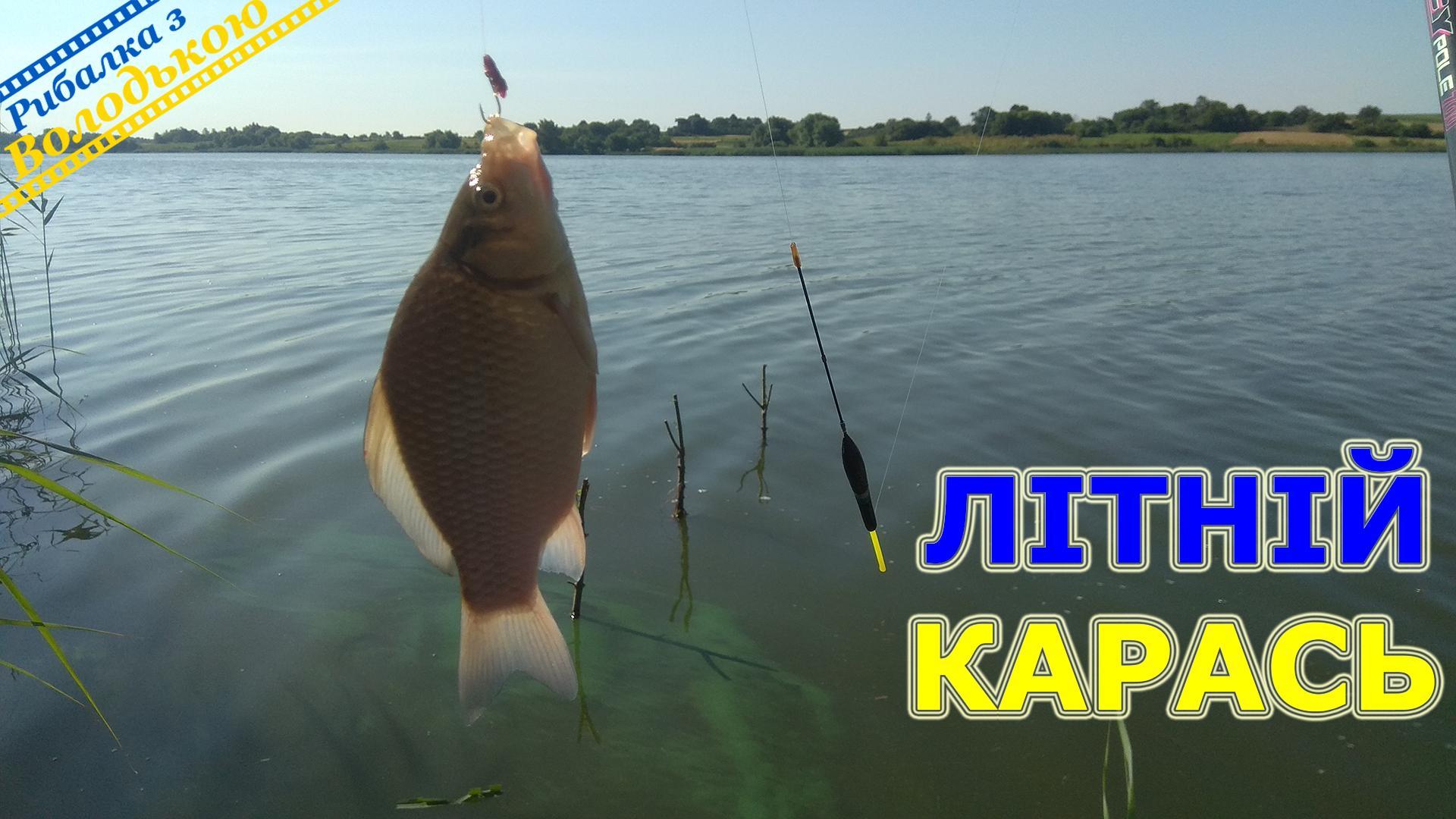 Карась