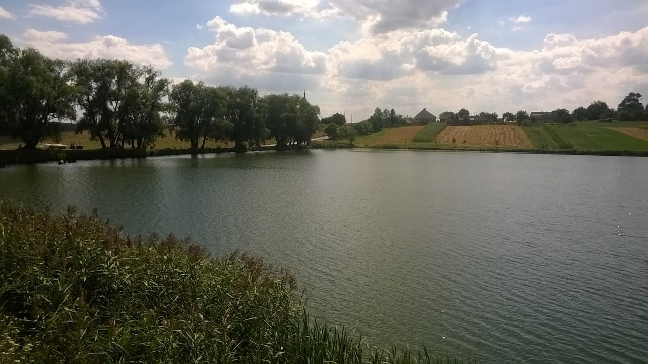 Карась