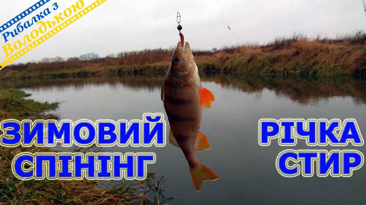Окунь