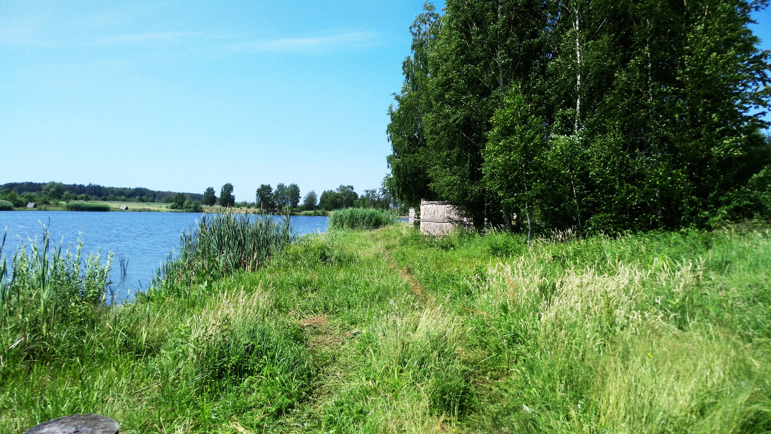 Карась