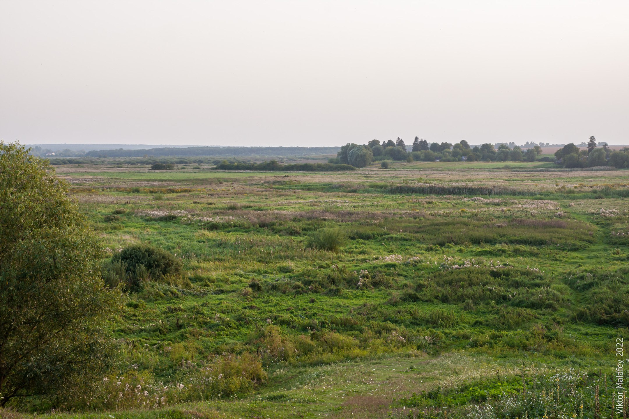 Улов