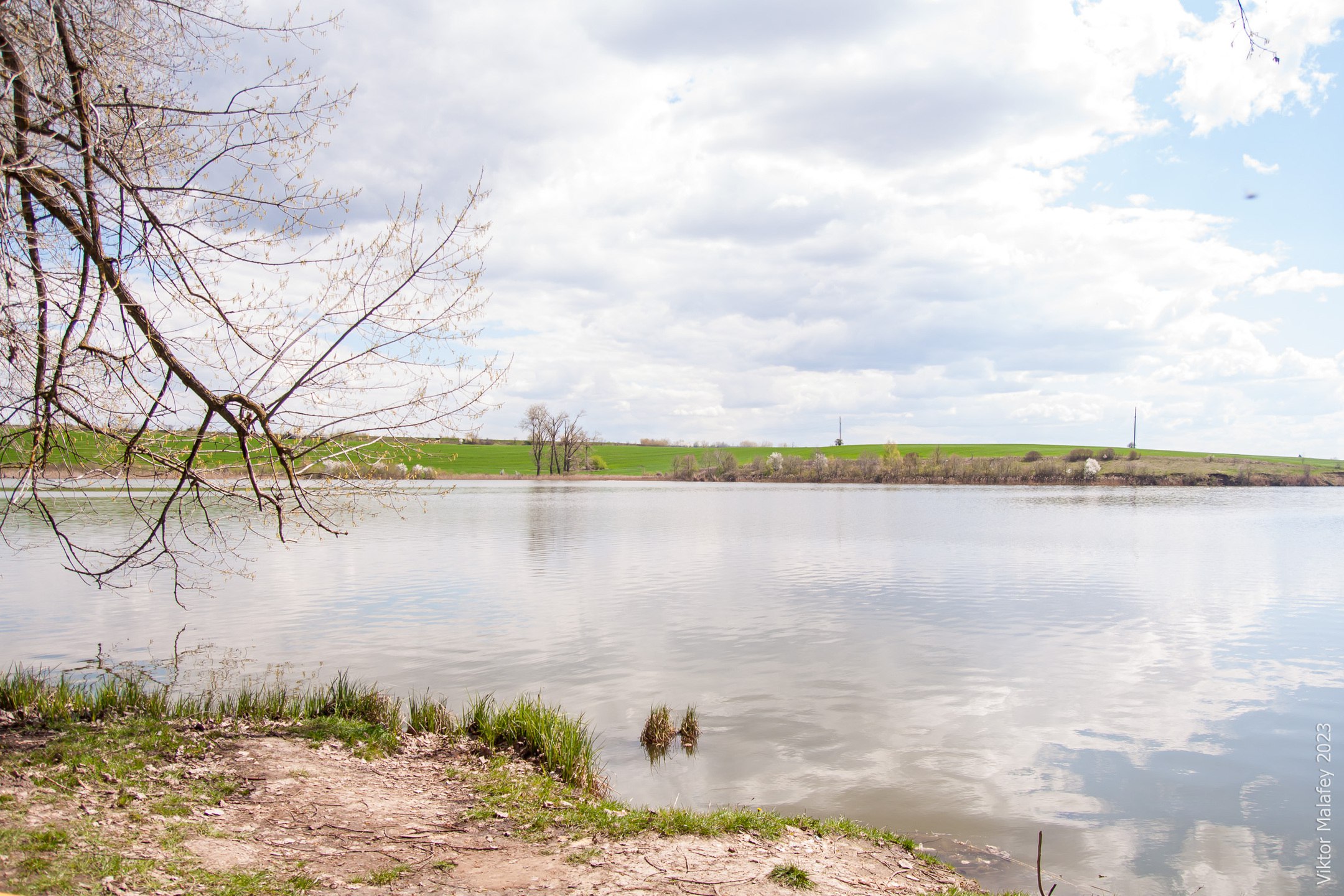Плітка