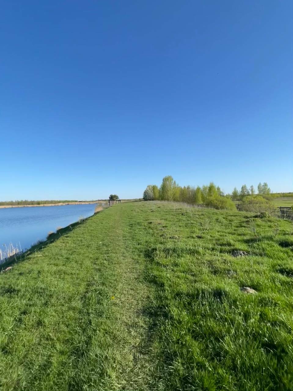Карась