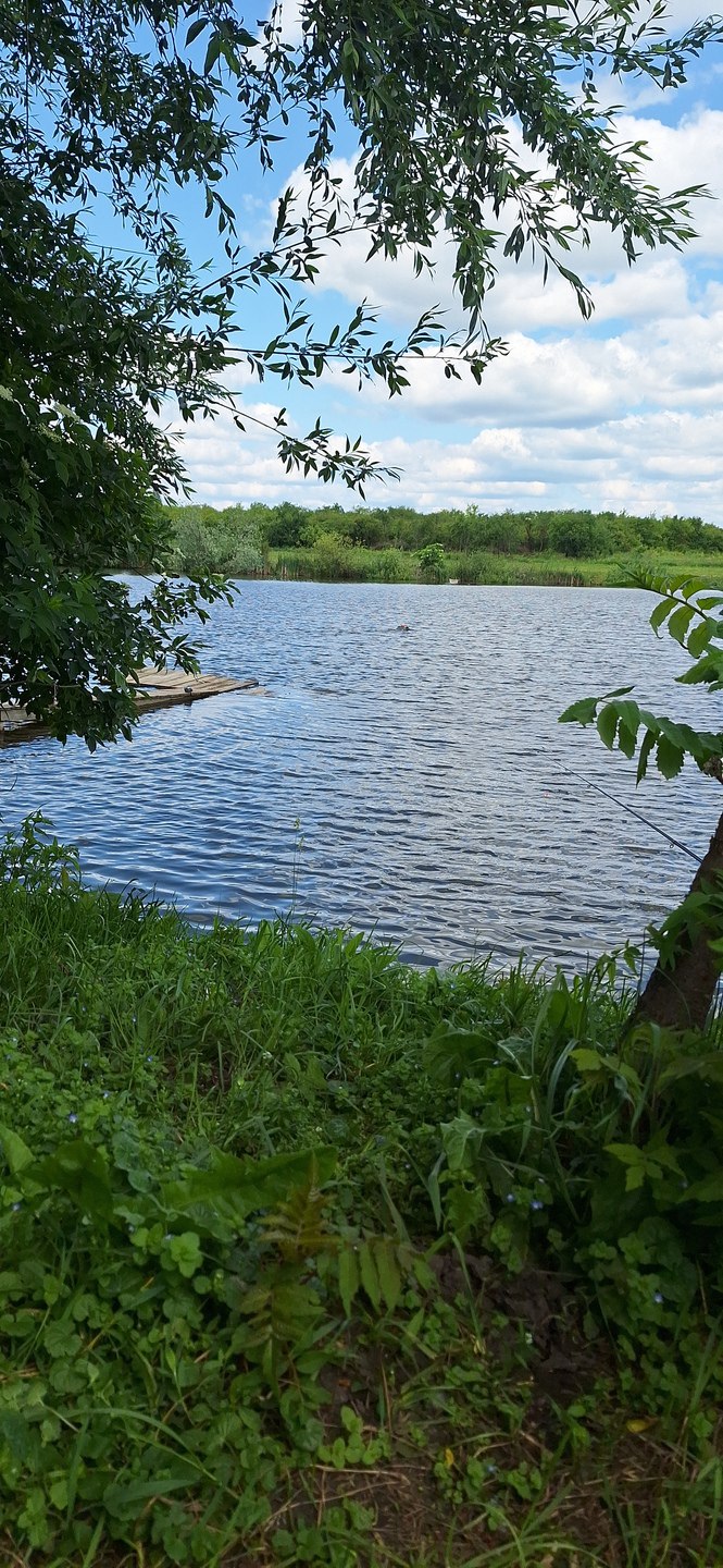 Карась