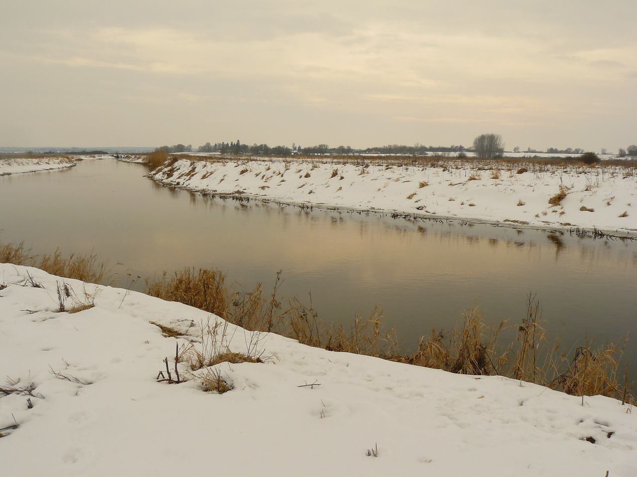 Головень