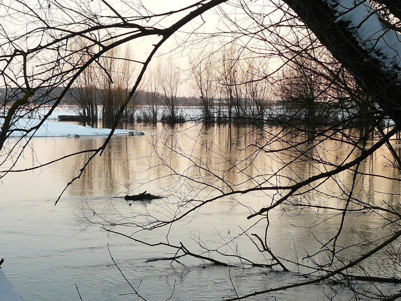 Окунь