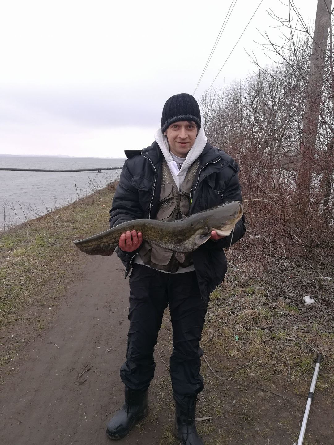 Сом