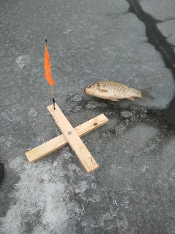 Карась