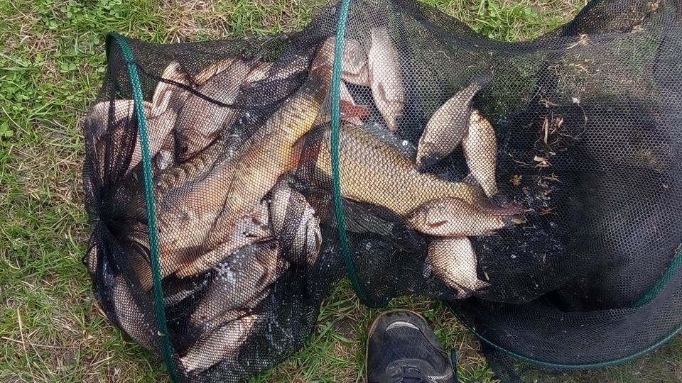 Карась
