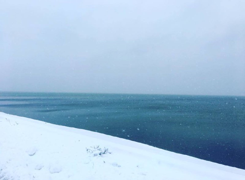Окунь